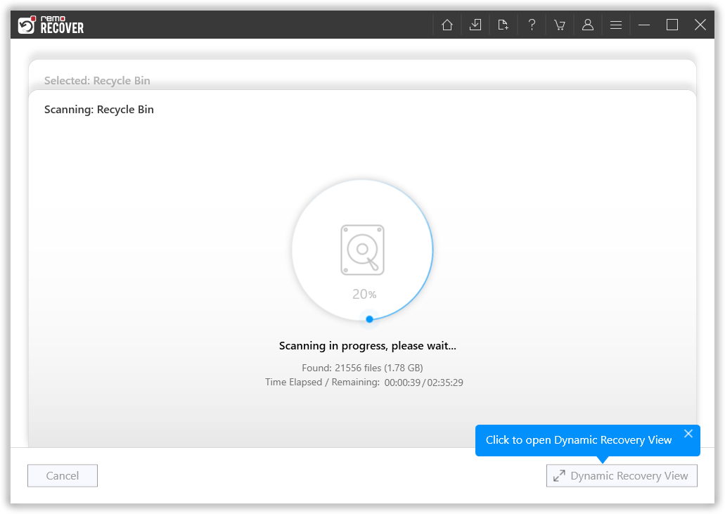 click on dynamic recovery view button to view the deleted file recovery from the recycle bin