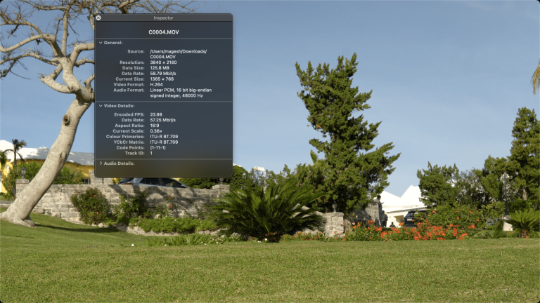 Movie Inspector - Details of the Video File